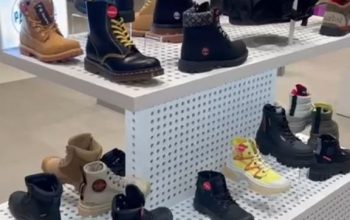 IMAGE 2024-01-25 11:58:46