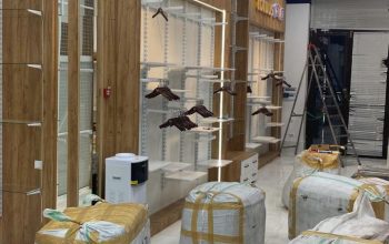 IMAGE 2024-01-25 12:03:56