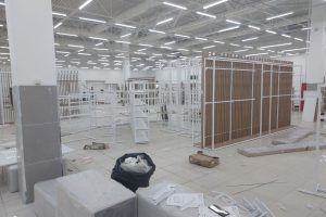 IMAGE 2024-01-25 12:41:17